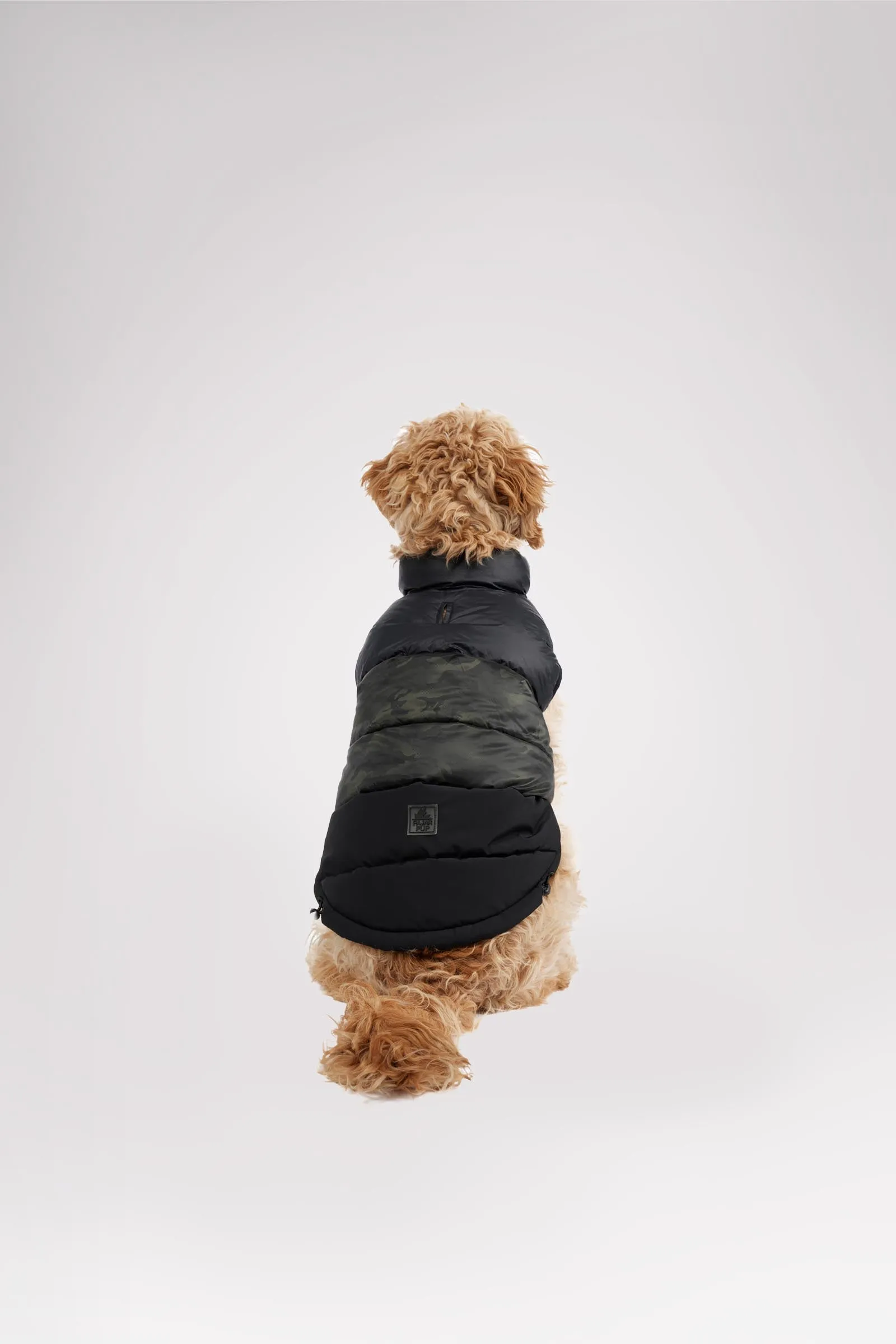 Alexis Jacket for Dogs