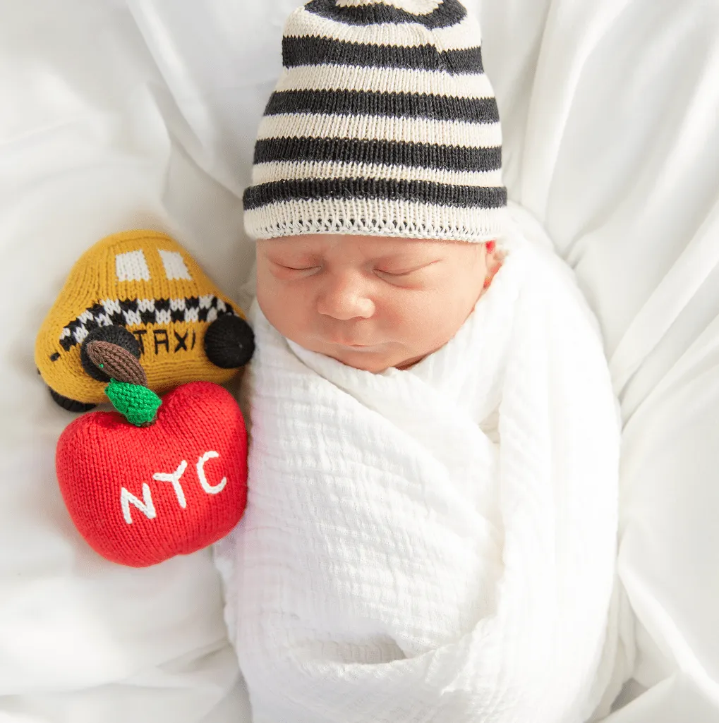 Baby Gift Set - Knit NYC Metro Card Blanket, Hat & Apple Rattle