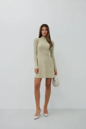 Half Turtleneck A-Line Mini Dress