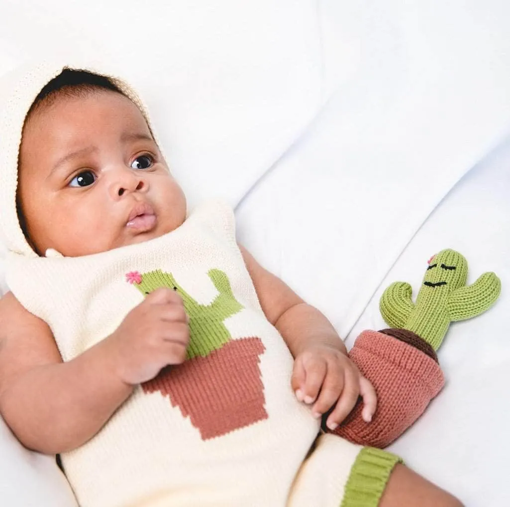 Organic Baby Gift Set - Hand Knit Newborn Romper with Cactus, Stuffed Toy, Bonnet Hat & Blanket with Heart