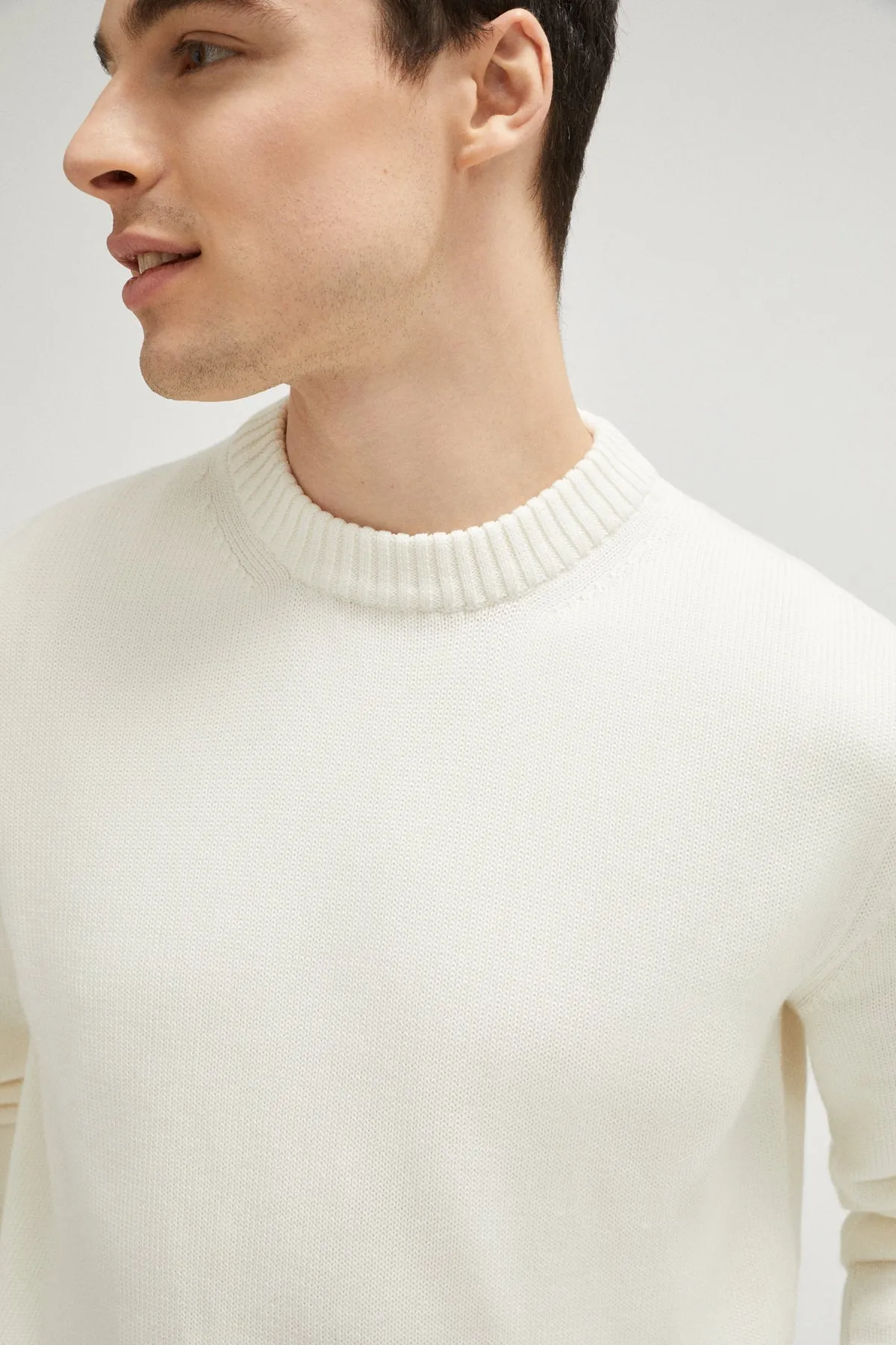 The Organic Cotton Sweater